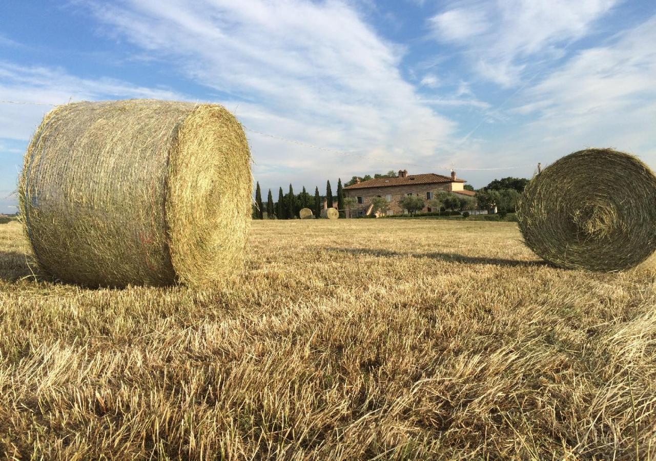 Borgo Solario Pensionat Castiglione del Lago Exteriör bild